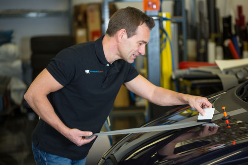 Elephant Head Graphics Professional Graphics Installer